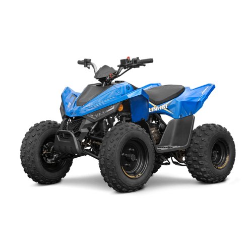 Linhai ATV 110 CE — widok całego pojazdu