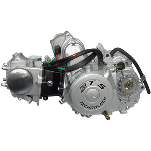 Silnik Poziomy 139Fmb, 50Cc 4T, 4-Biegowy Manual, 