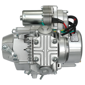Silnik Poziomy 139Fmb, 50Cc 4T, 4-Biegowy Manual, 