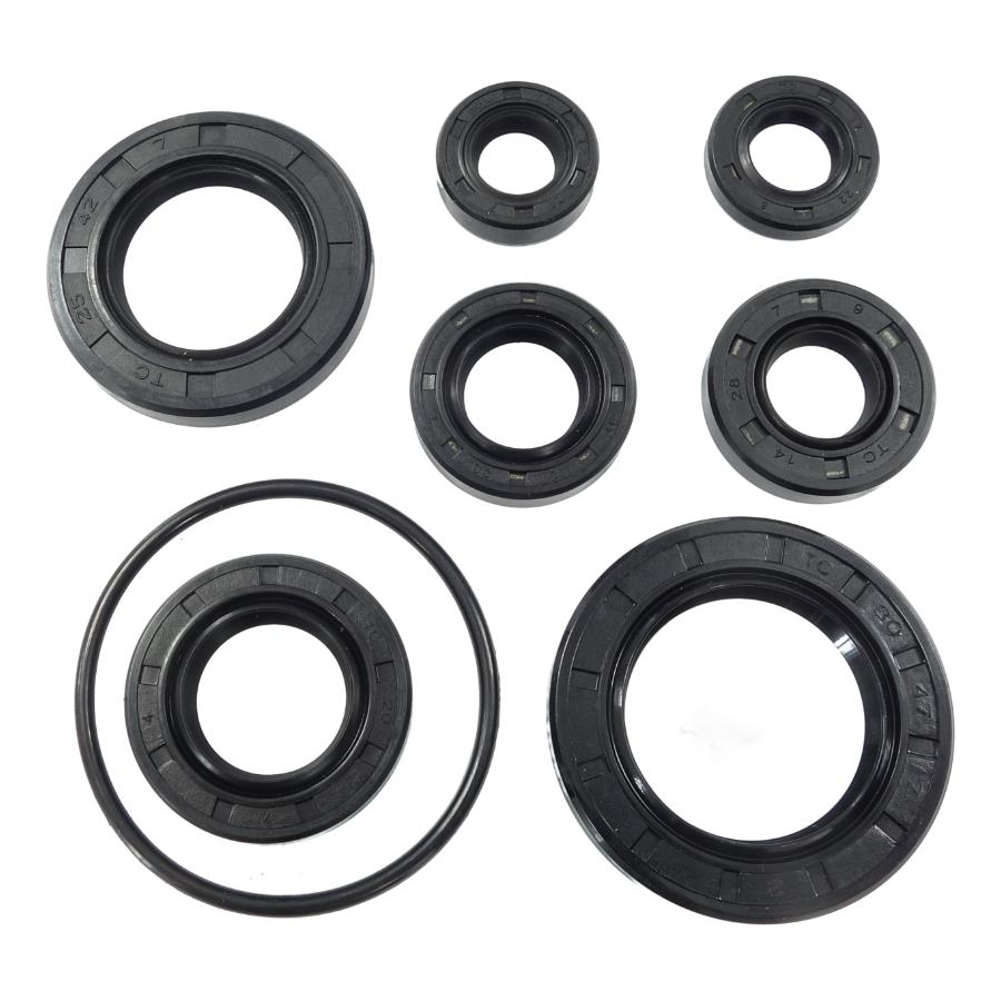 Uszczelniacze Zestaw Do Cbs300