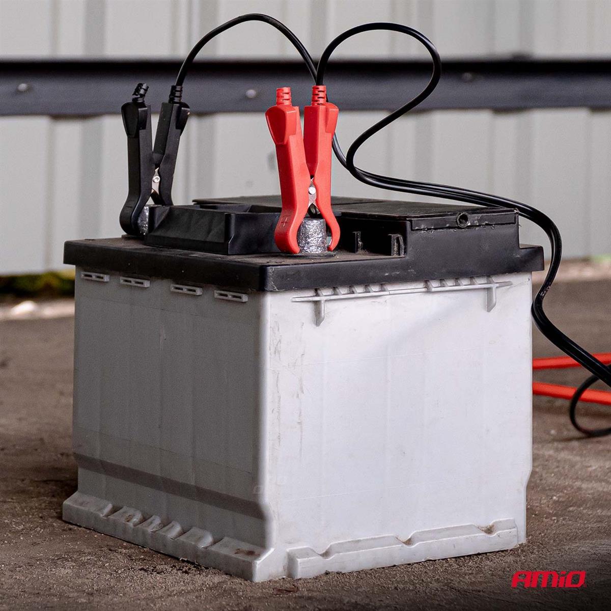 Prostownik Cyfrowy AGM GEL STD LFP MAX 10A 12V 24V