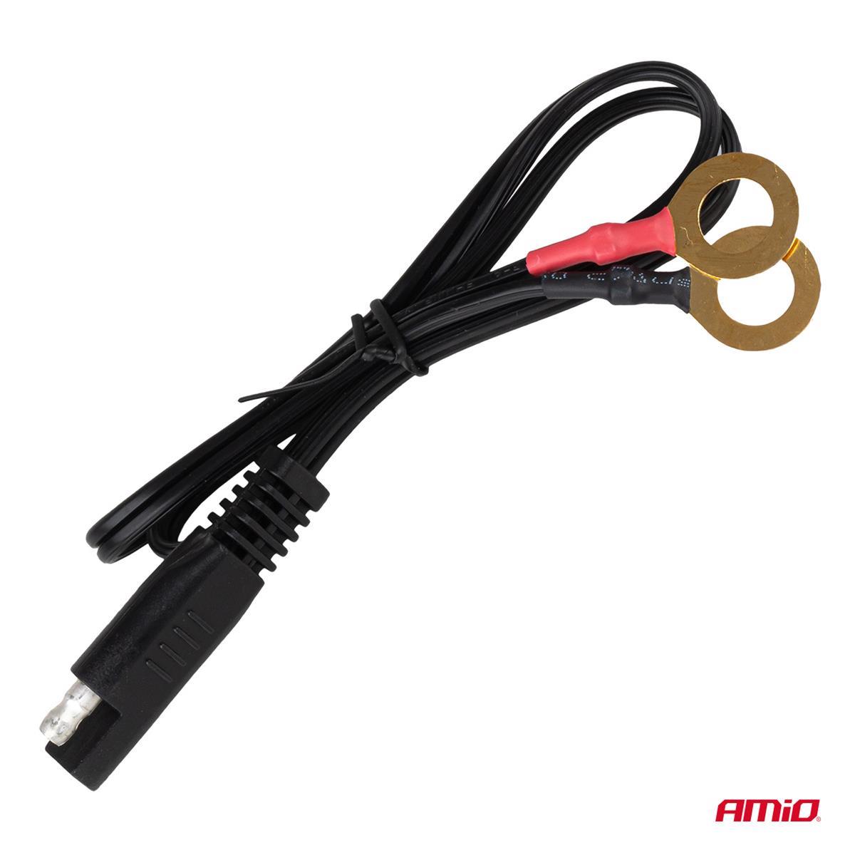 Prostownik Cyfrowy AGM GEL STD LFP MAX 10A 12V 24V